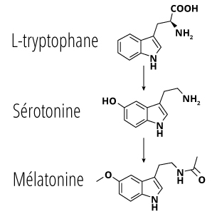 Molécule mélatonine