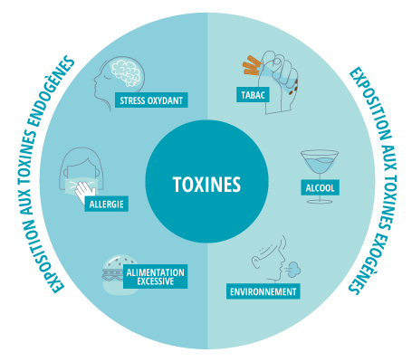 schema toxines
